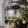 How Office Lighting Impacts Productivity and Employee Wellness